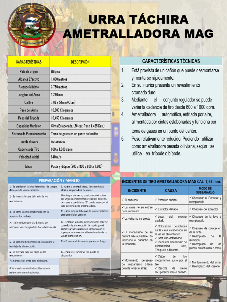 Instruccion Mag | PDF