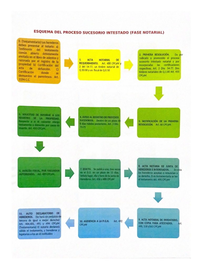 Esquema Del Proceso Sucesorio Intestado (Fase Notarial) | PDF