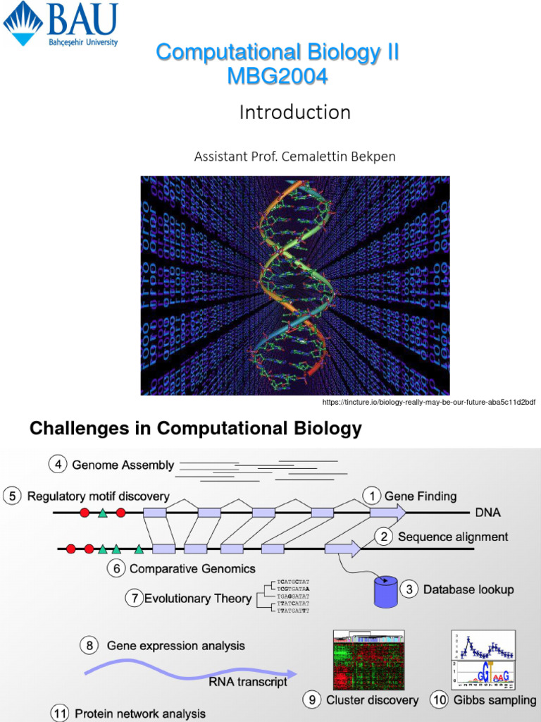 MBG2004 Introduction - and - Comparative Genomics - Week - I - II | PDF ...