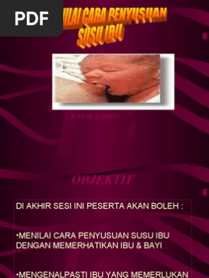 Bab 3 Menilai Cara Penyusuan Pdf