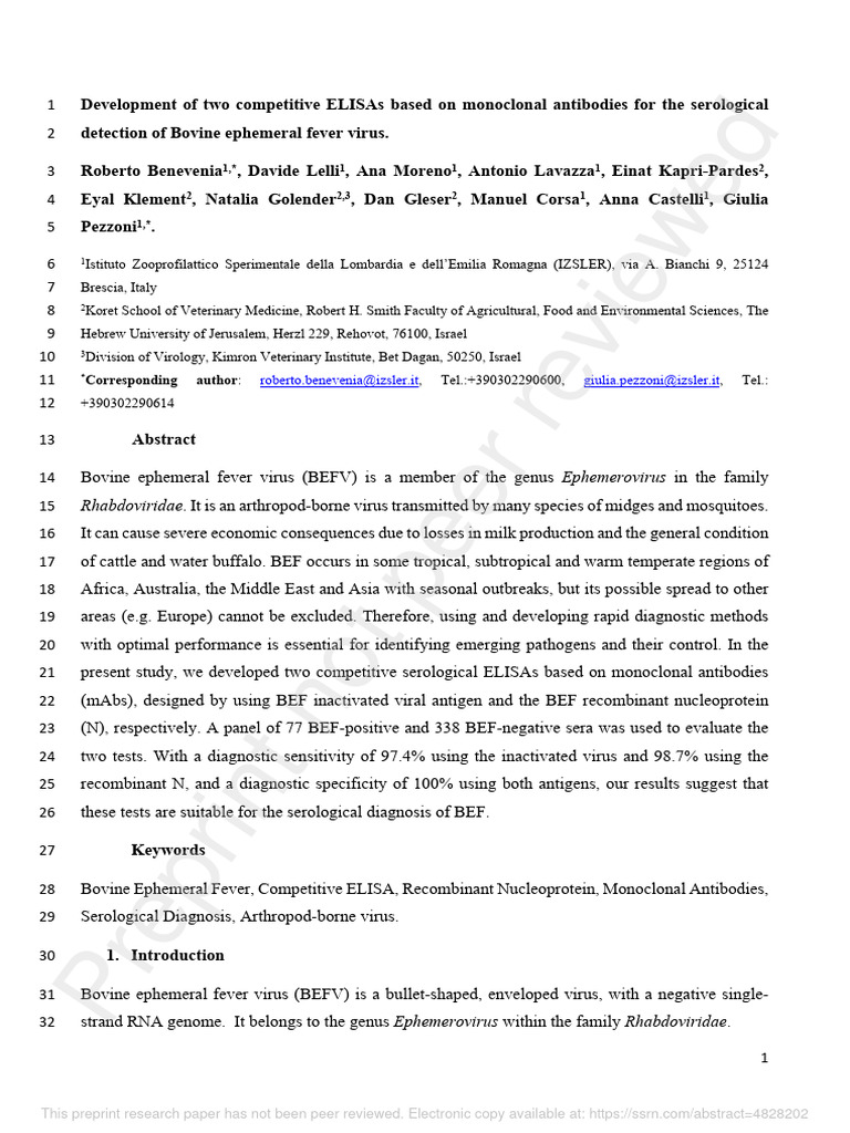 Bovine Fever Virus ELISA Development | PDF | Monoclonal Antibody | Elisa