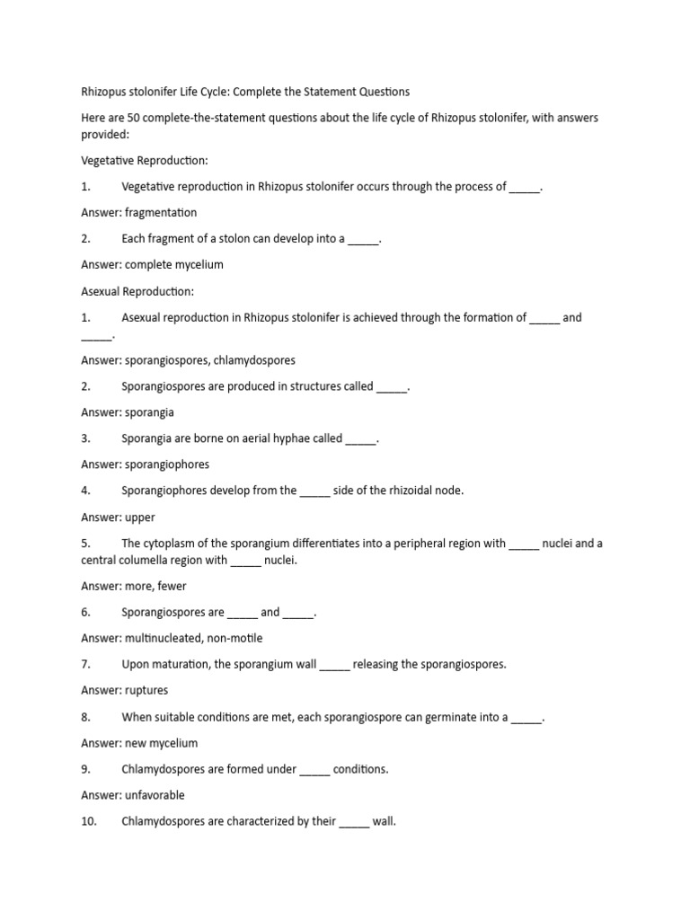 Rhizopus Stolonifer Life Cycle Overview | PDF | Fungus | Mycology