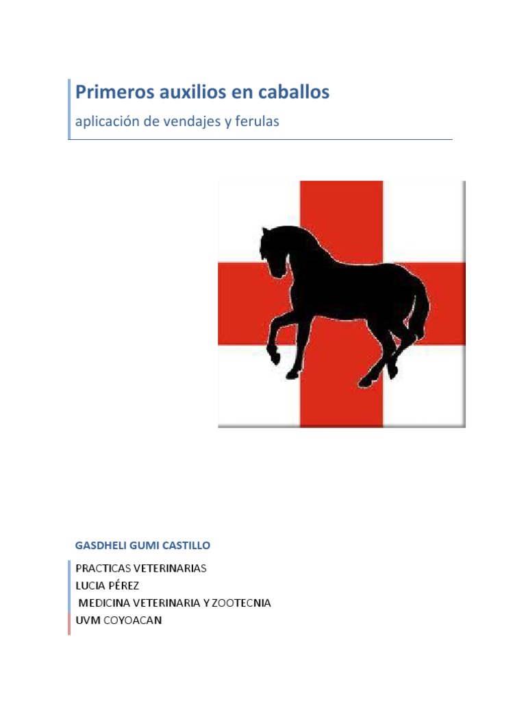 Practic Primeros Auxilios en Caballos | PDF | Herida | Lesión