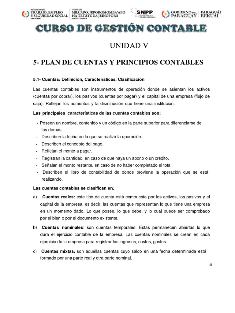 4-06 UNIDAD 5 Plan de Cuentas y Principios Contables | PDF ...