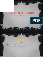 Sintesis Del Agua