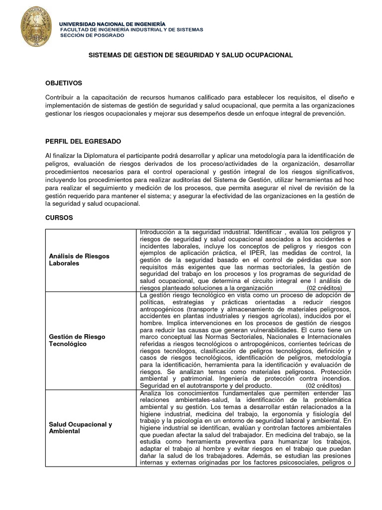 Diplomado de Sistema de Gestion en Segur | PDF | Seguridad y salud ...