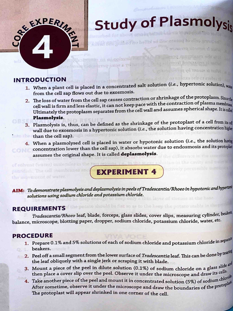 Practicals Bio Download Free Pdf Chromatography Osmosis