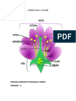 Partes de La Flor