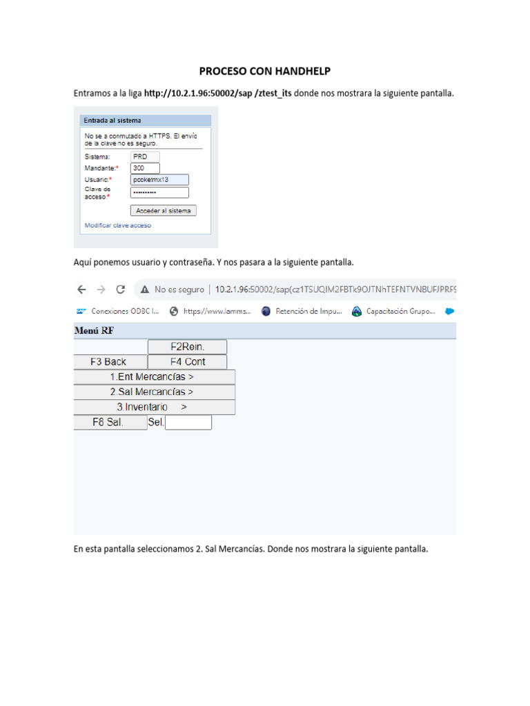Proceso Con Handhelp | PDF