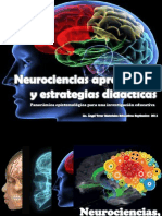 Neurocienciaeinvestigacion