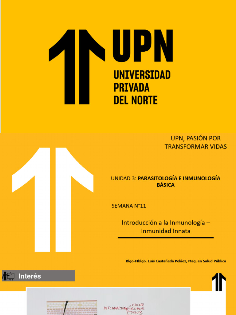 clase-11-pdf-sistema-inmune-fagocito