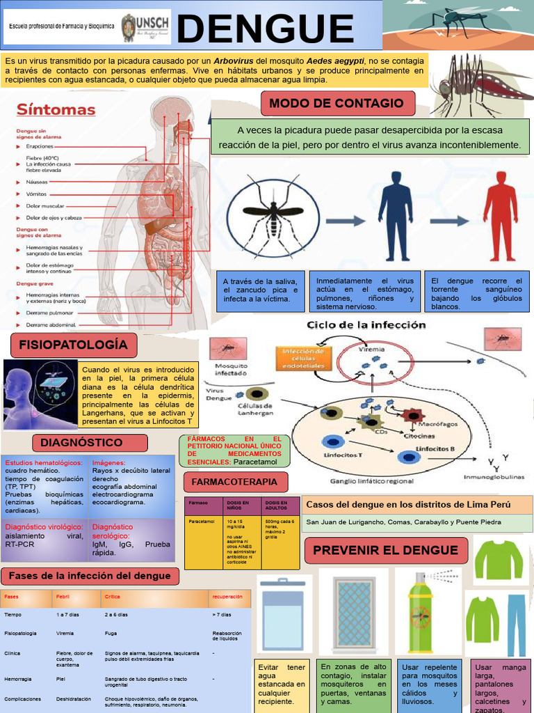 Fisiopatología y prevención del dengue | PDF | Causas de la muerte ...