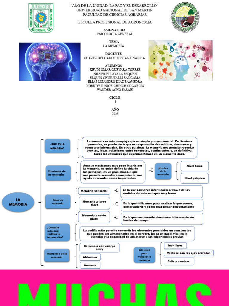 Psicología General La Memoria 1er Ciclo Pdf Memoria Conceptos