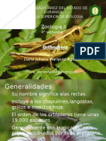 Generalidades de La Orden Orthoptera