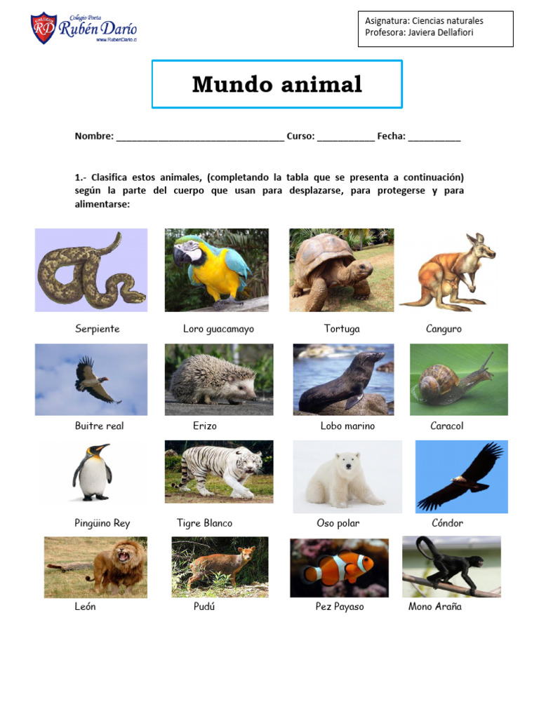 Guia 2 mundo animal 2° básico | PDF