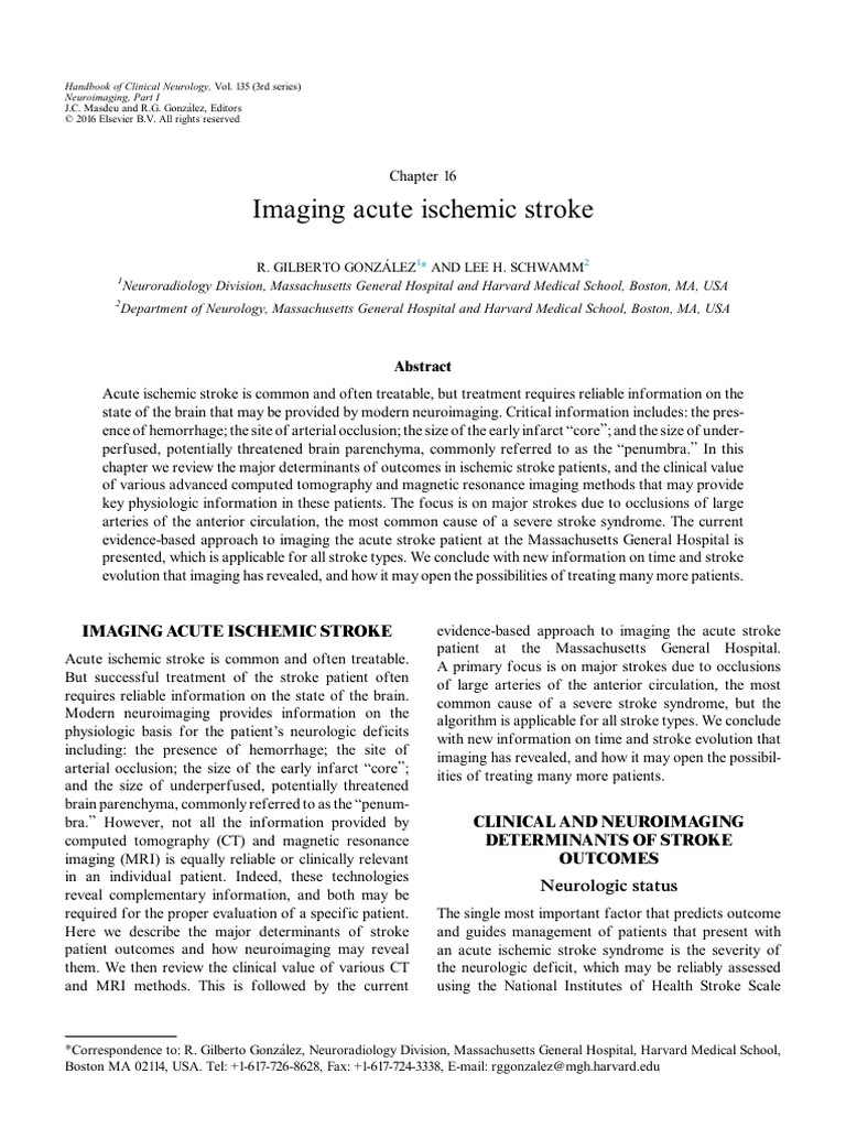 Imaging Techniques for Acute Ischemic Stroke | PDF | Stroke | Ct Scan