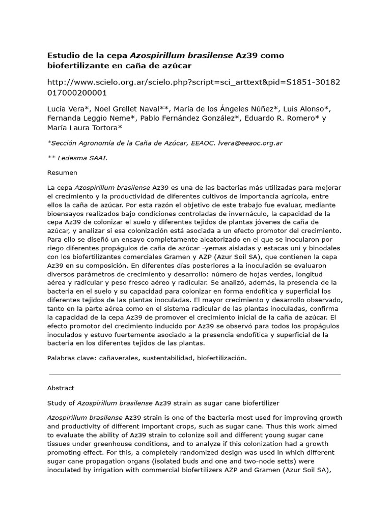 Azospirillum brasilense Az39 en caña de azúcar | PDF | Fertilizante ...