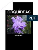 ORQUÍDEAS