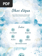 Resumo Do Livro: Olhos D'água | PDF
