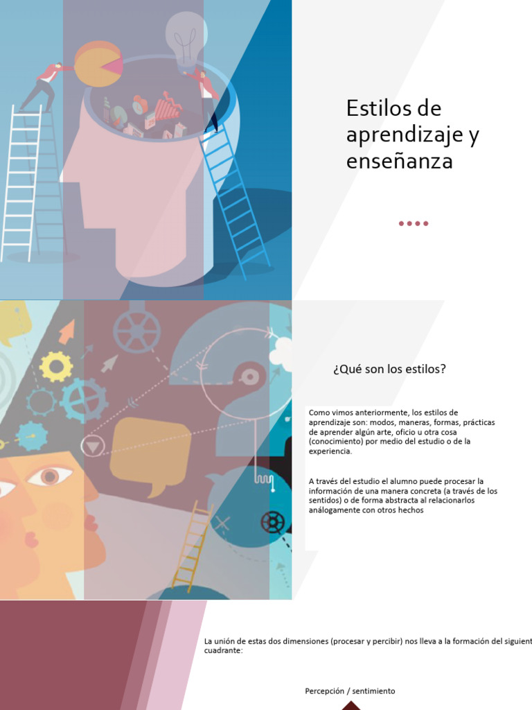Estilos de Aprendizaje y Enseñanza | PDF | Aprendizaje | Procesos mentales