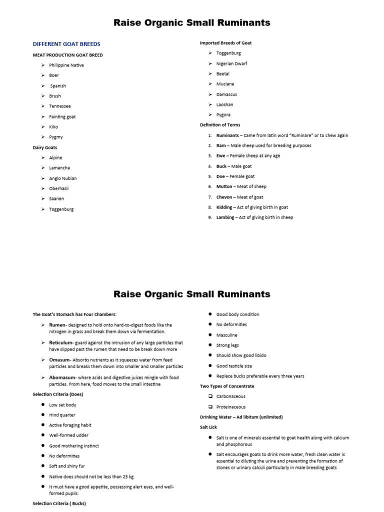 Ruminants Reviewer | PDF | Goat | Sheep