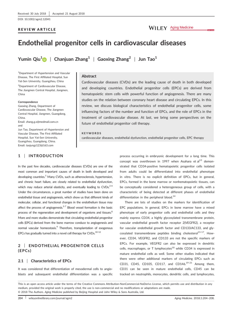 Endothelial Progenitor Cells in CVDs | PDF | Endothelium | Angiogenesis