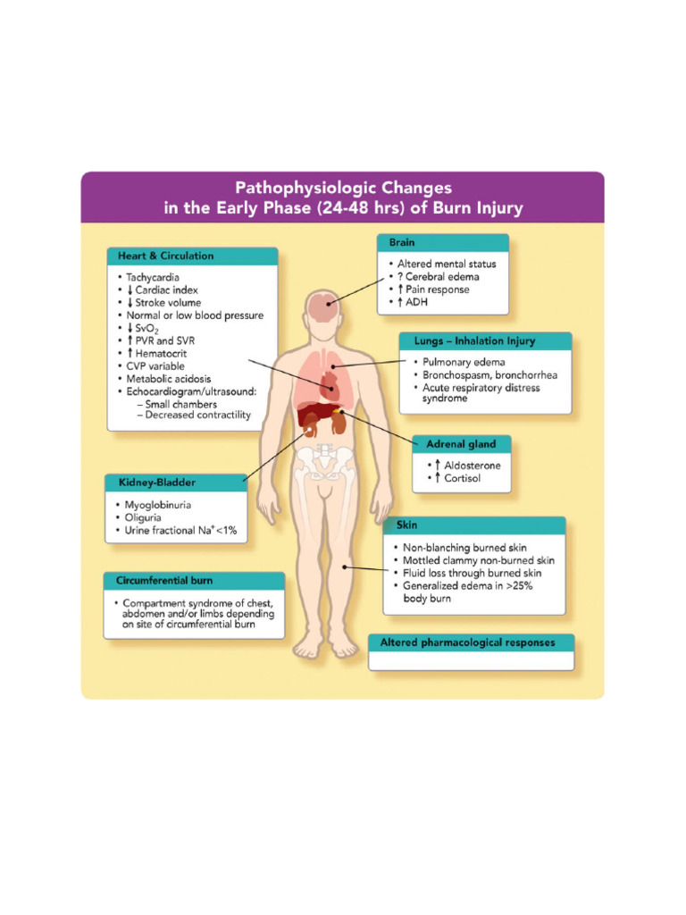 Burn Trauma | PDF