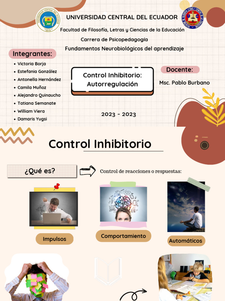 Control Inhibitorio Autorregulación | PDF | Las emociones | Desorden