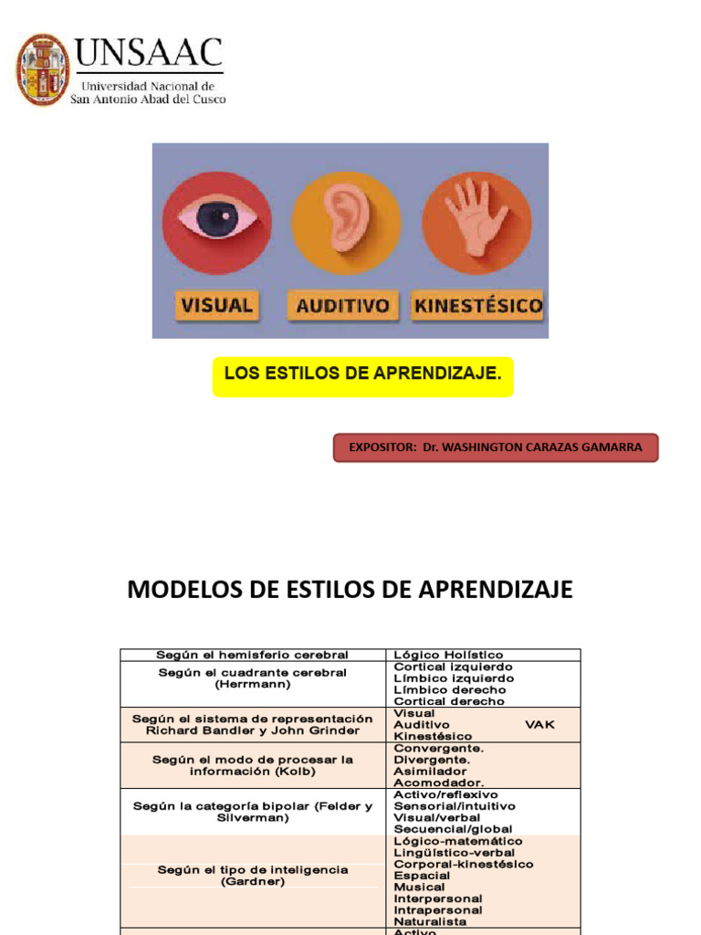ESTILOS DE APRENDIZAJE Xa | PDF | Aprendizaje | Percepción