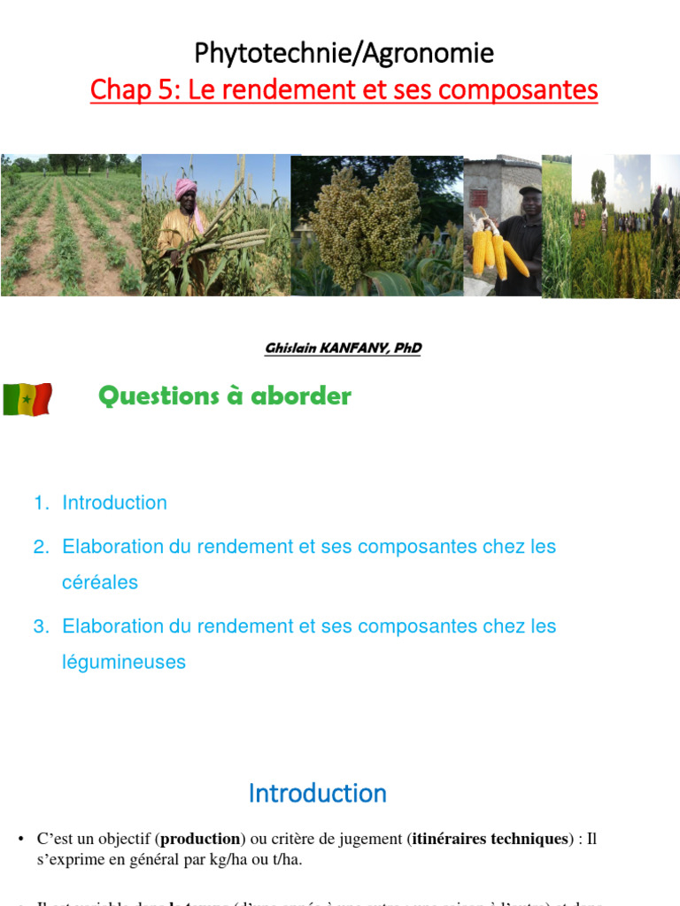 Carré de rendement en agronomie | PDF | Céréale | Rendement agricole