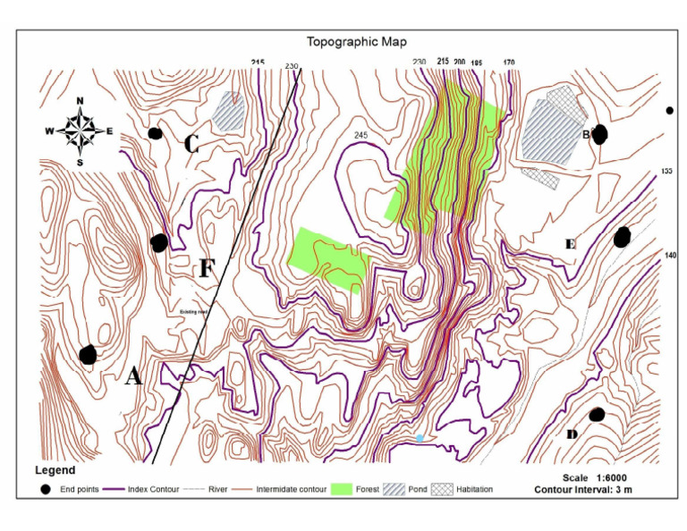 Real Topo | PDF