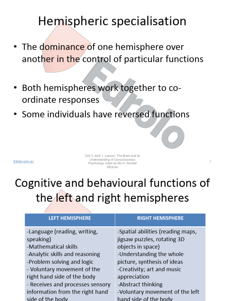 The Brain and Its Understanding of Consciousness | PDF | Lateralization ...