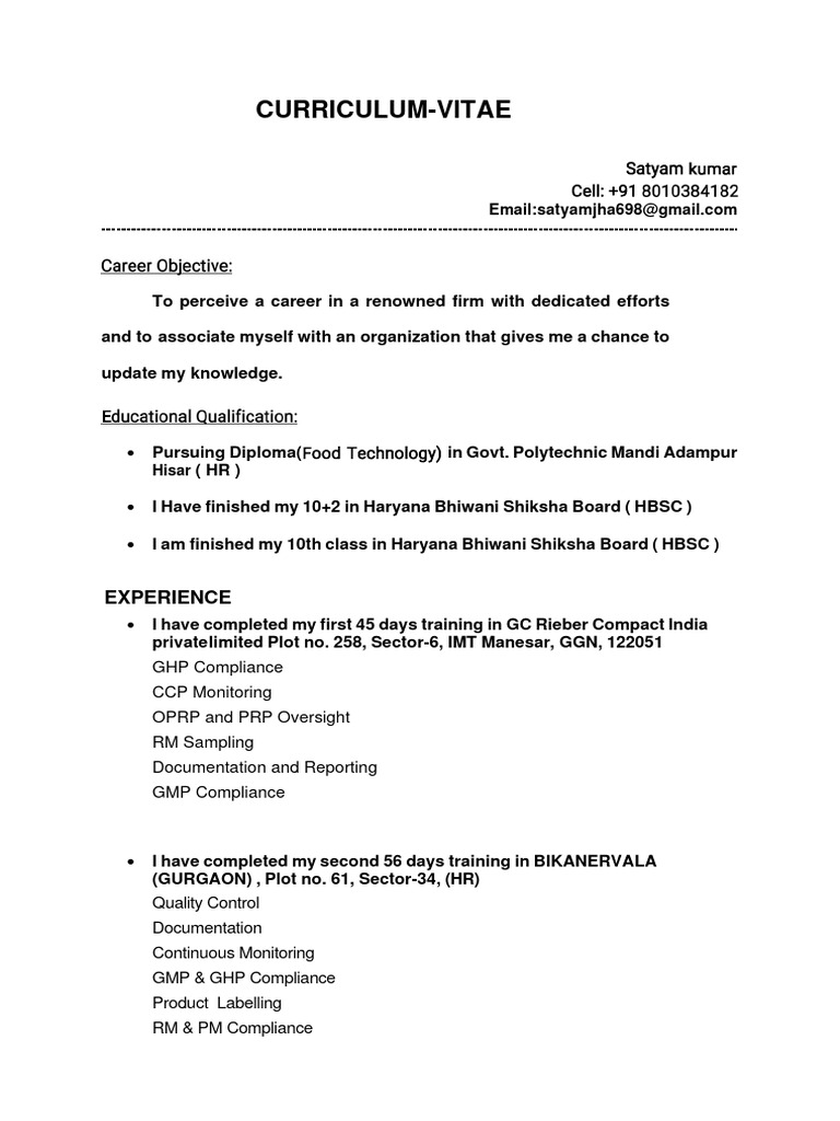 Satyam Kumar's Professional CV | PDF
