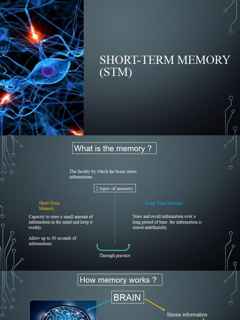 Understanding Short-Term Memory | PDF | Science & Mathematics | Computers