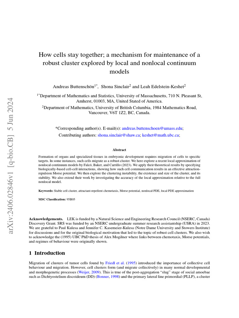How Cells Stay Together A Mechanism For Maintenance of A Robust Cluster ...