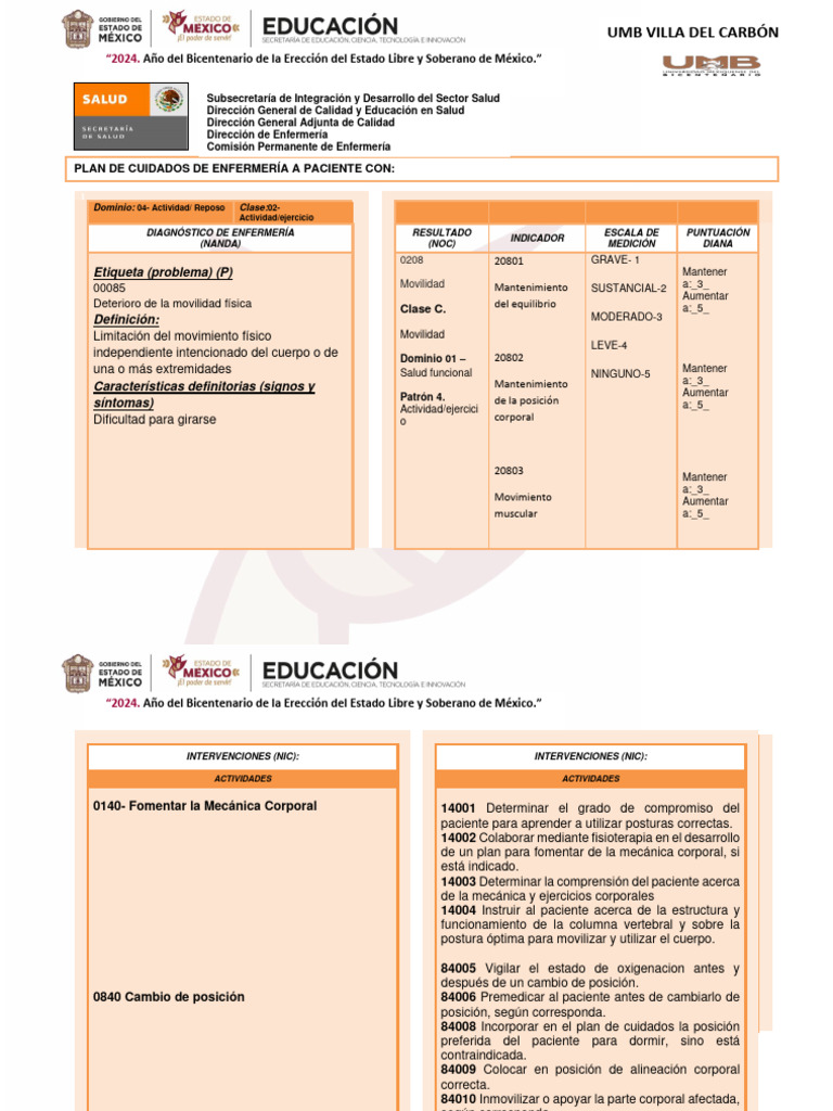 Plan de Cuidados para Deterioro de Movilidad | PDF | Cuidado de la ...