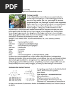 Download Tan Jeruk Bali by Gamayazid Ab SN73986249 doc pdf