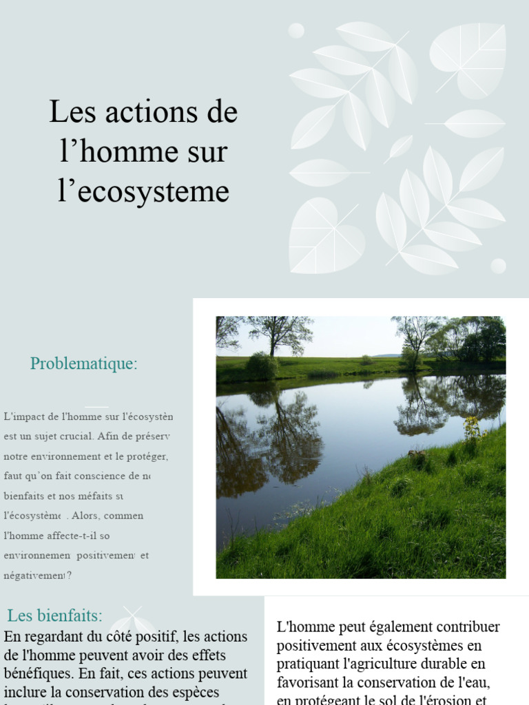 Impact de l'Homme sur l'Écosystème | PDF | Environnement naturel ...