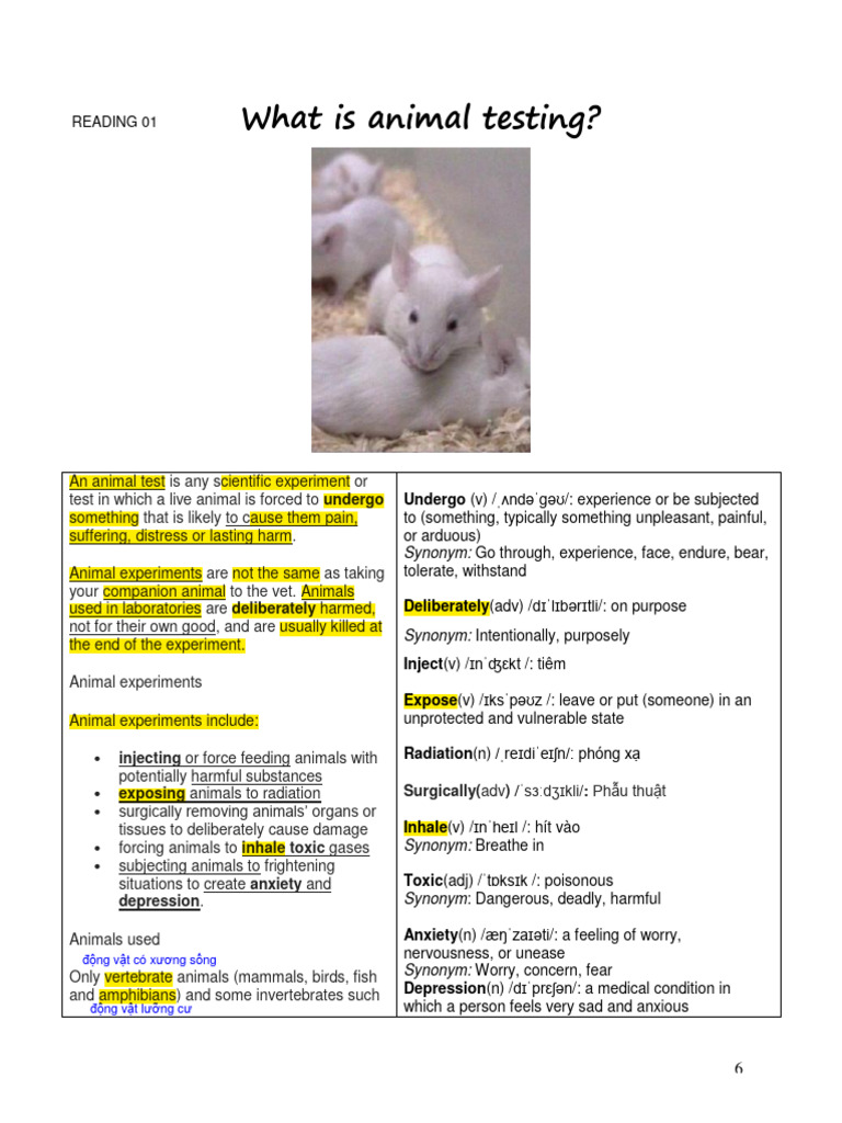 IELTS Vocabulary: Animal Testing | PDF | Animal Testing | Toxicity