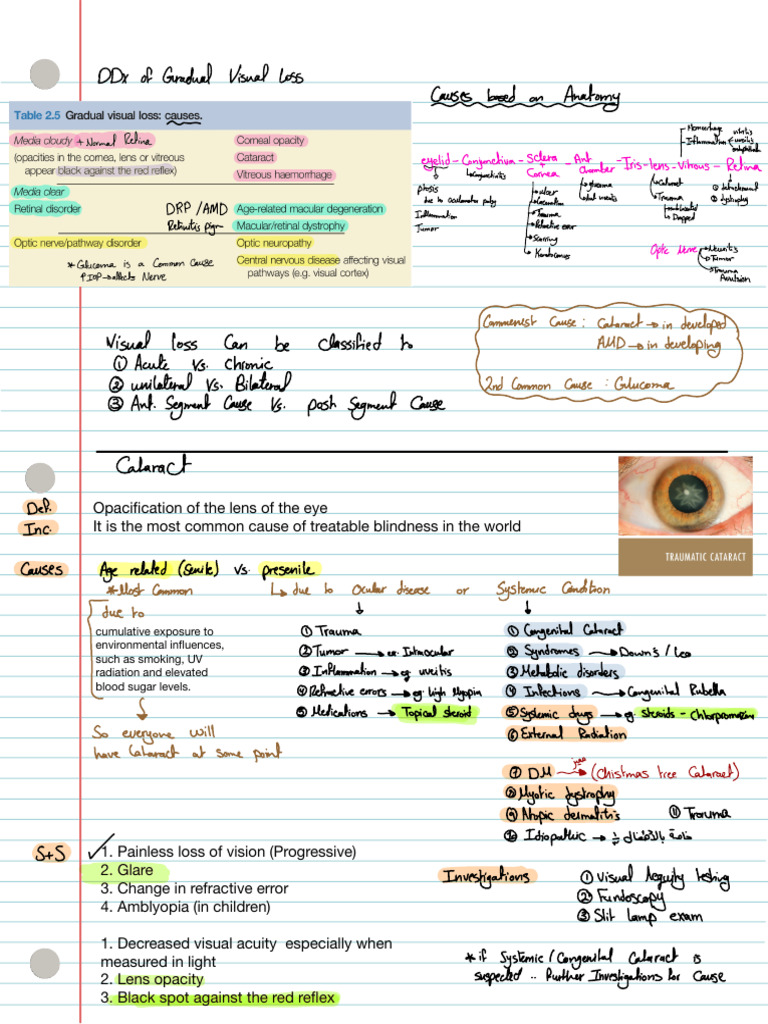 Gradual Visual Loss | PDF | Cataract | Visual Impairment