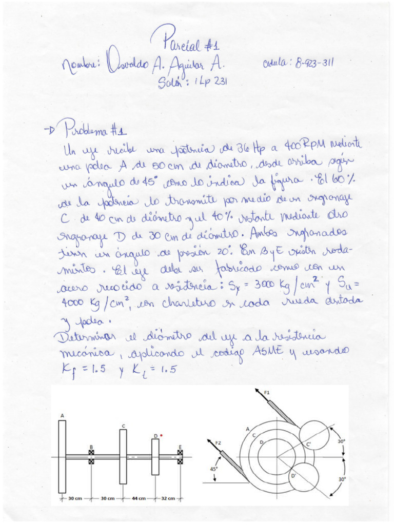 Escaneo | PDF