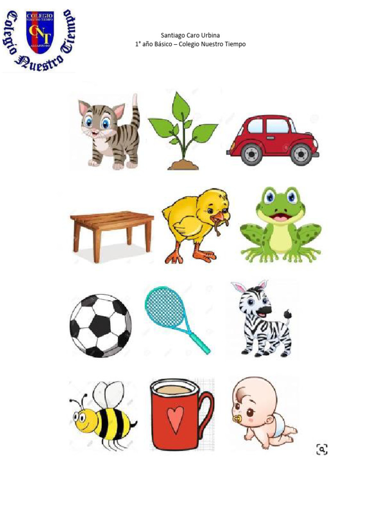Seres Vivos e Inertes para Niños | PDF