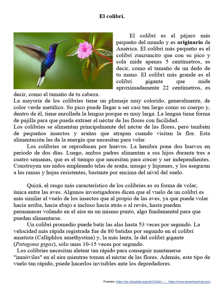 Información sobre el colibrí | PDF | Aves | Zoología