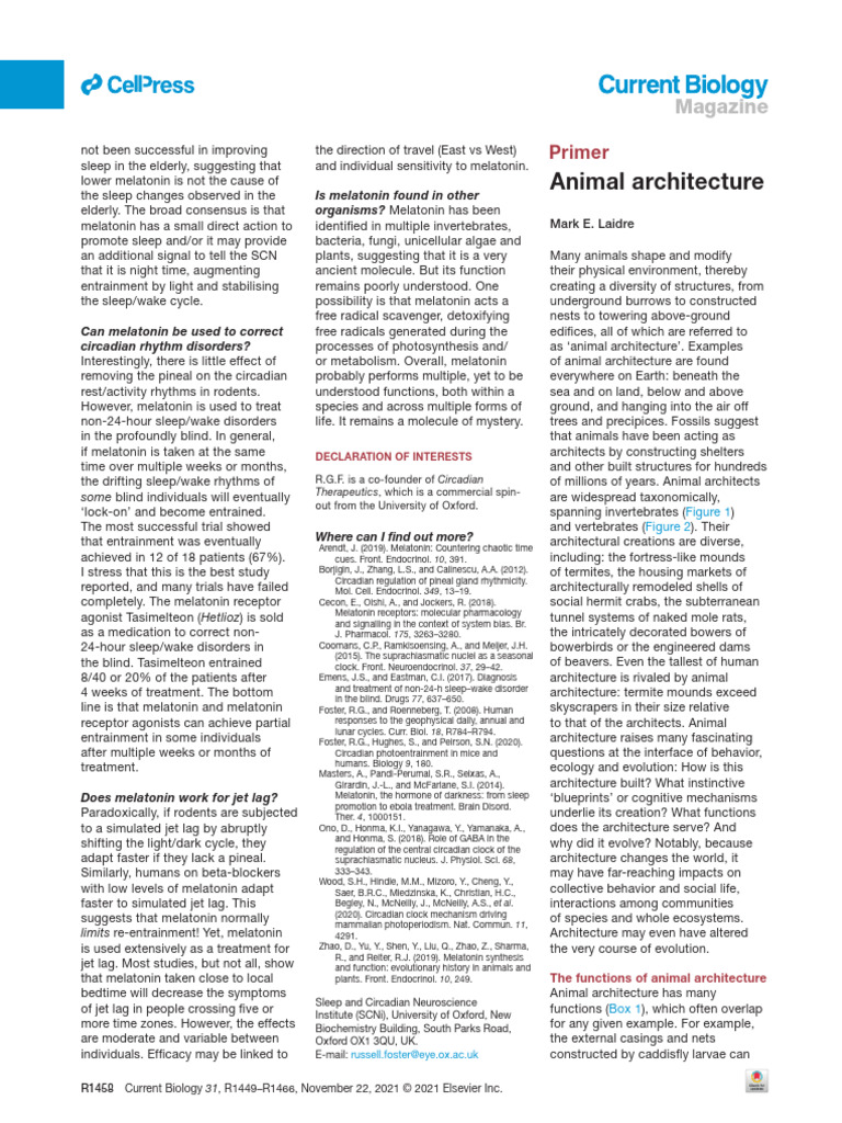 Animal Architecture Pdf Circadian Rhythm Nest
