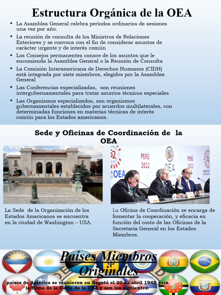 Estructura Orgánica De La Oea Pdf Américas Relaciones Internacionales