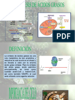 BIOSÍNTESIS DE ÁCIDOS GRASOS