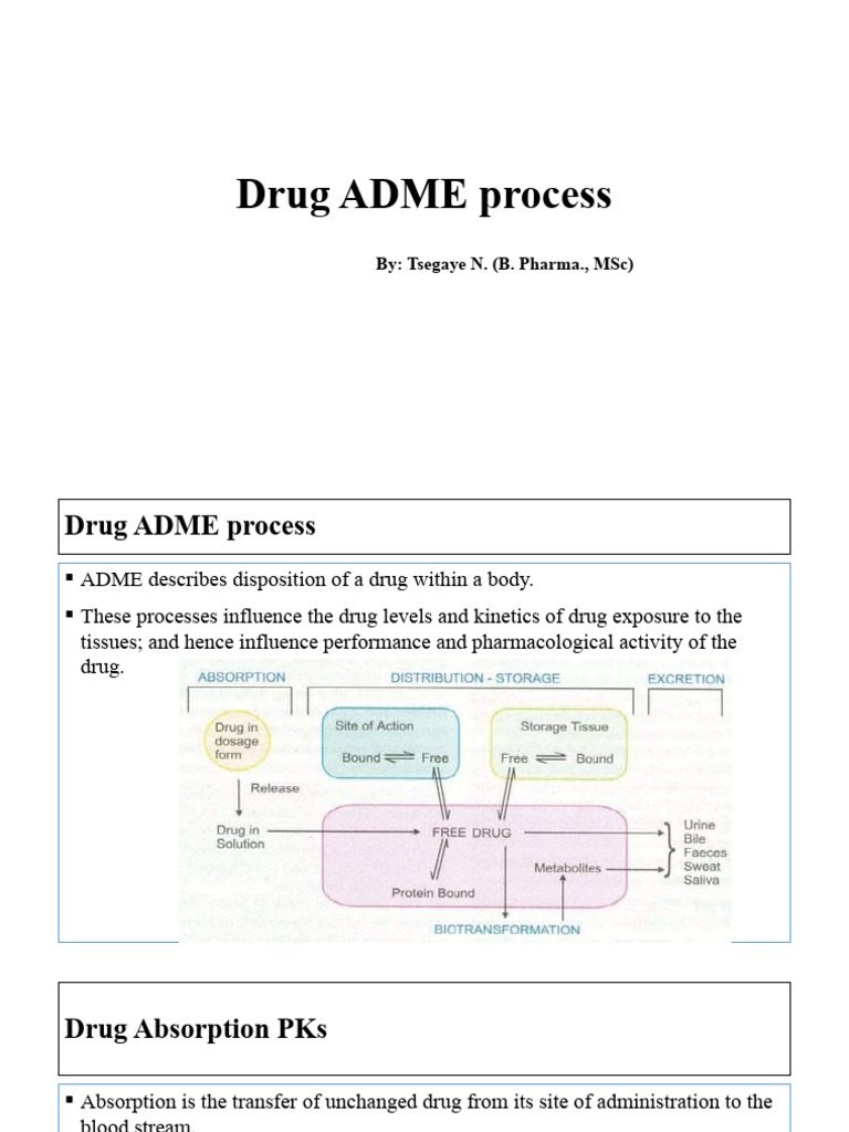 Understanding Drug ADME Processes | PDF | Drug Metabolism | Chemistry