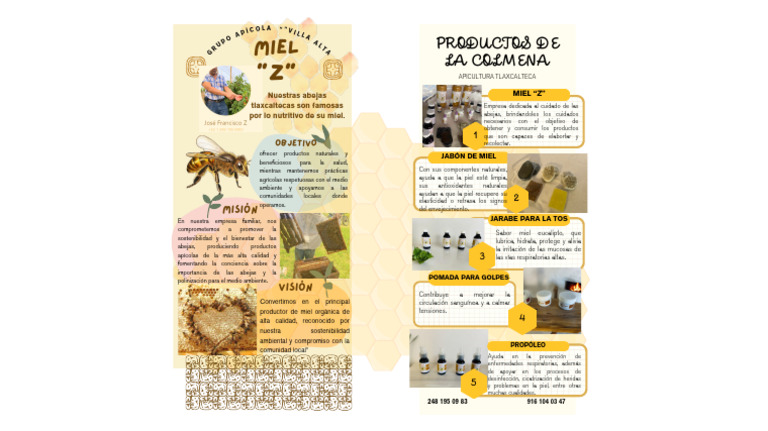 Productos Apícolas y Beneficios de la Miel | PDF | Miel | Apicultura