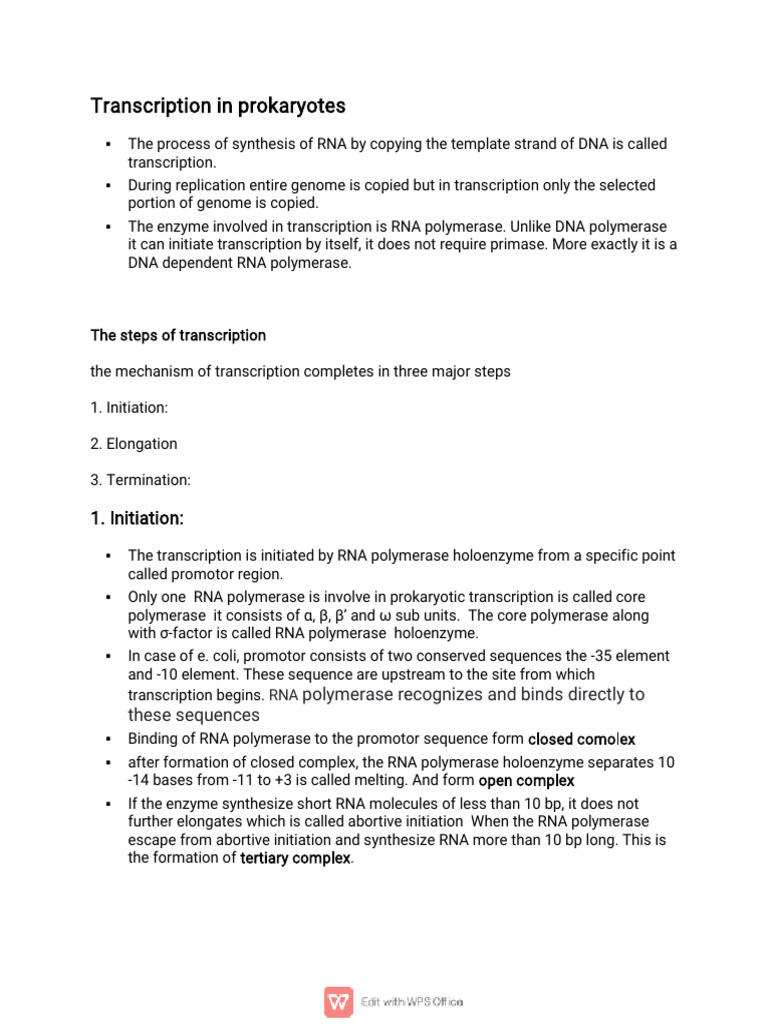 Prokaryotic Transcription Process Explained | PDF | Rna | Promoter ...