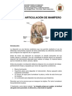 Diseccion Rodilla 2009